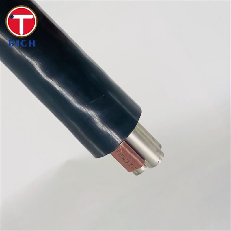 Πολυπύρηνος ανοξείδωτος σωλήνας χωρίς συγκόλληση με πλαστική επικάλυψη για ναυπηγική σε ποιότητες 304L/316L/Duplex 2205 και τεχνικές ψυχρής έλασης/θερμής έλασης